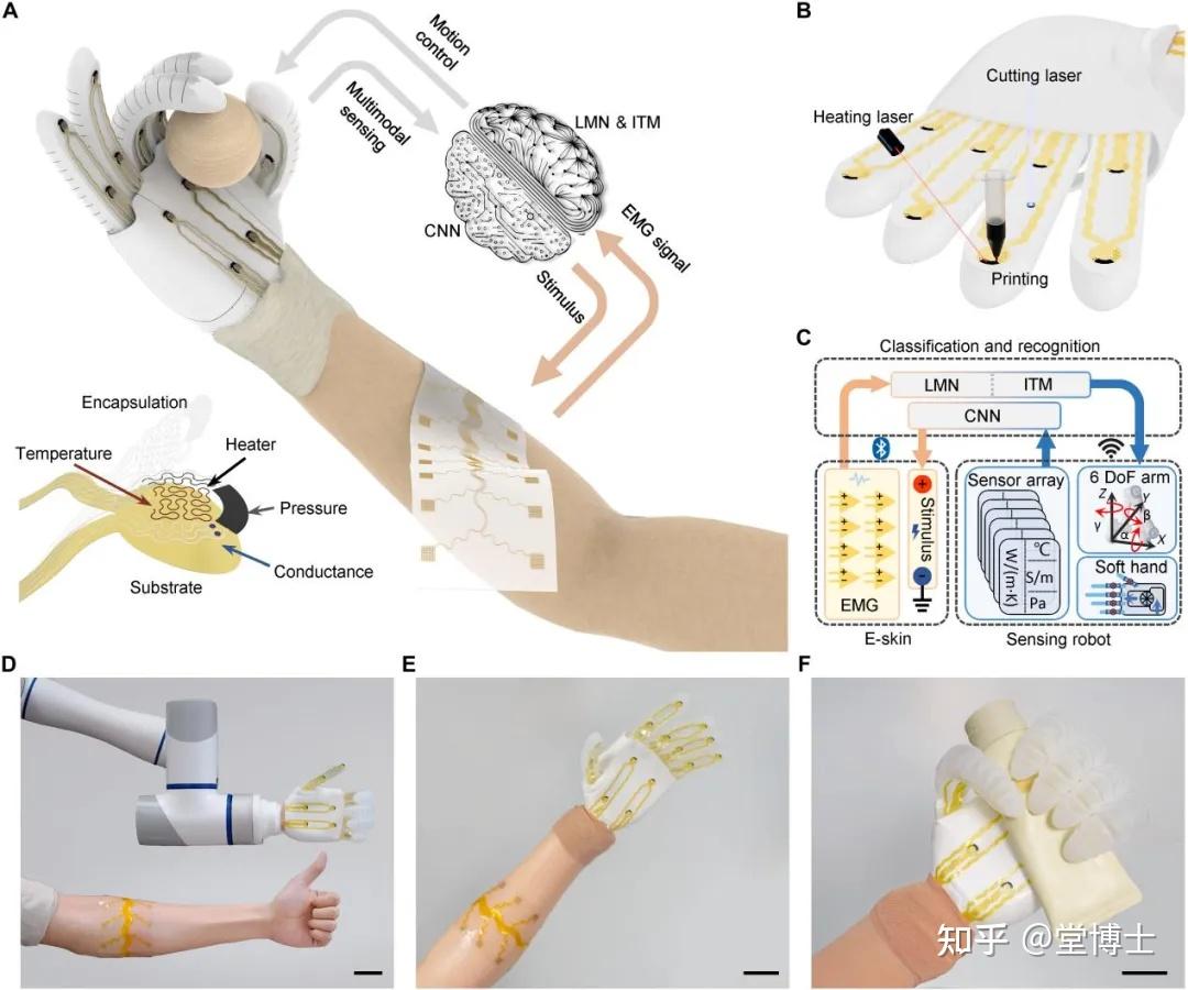 让机器人拥有“触感”？中国团队研发“电子皮肤”，开启人机交互新纪元