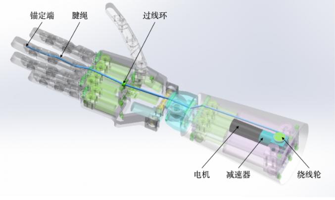 灵巧手的腱绳驱动方案——实现高灵巧、类人操作的关键路径与理想选择